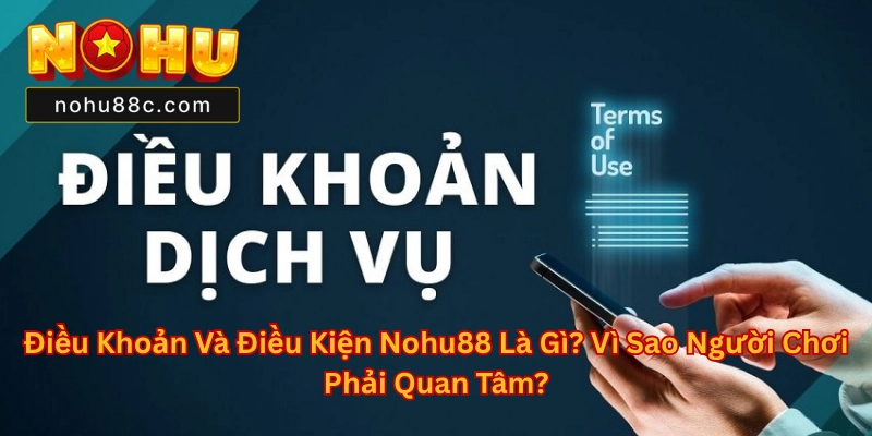 Điều Khoản Và Điều Kiện Nohu88